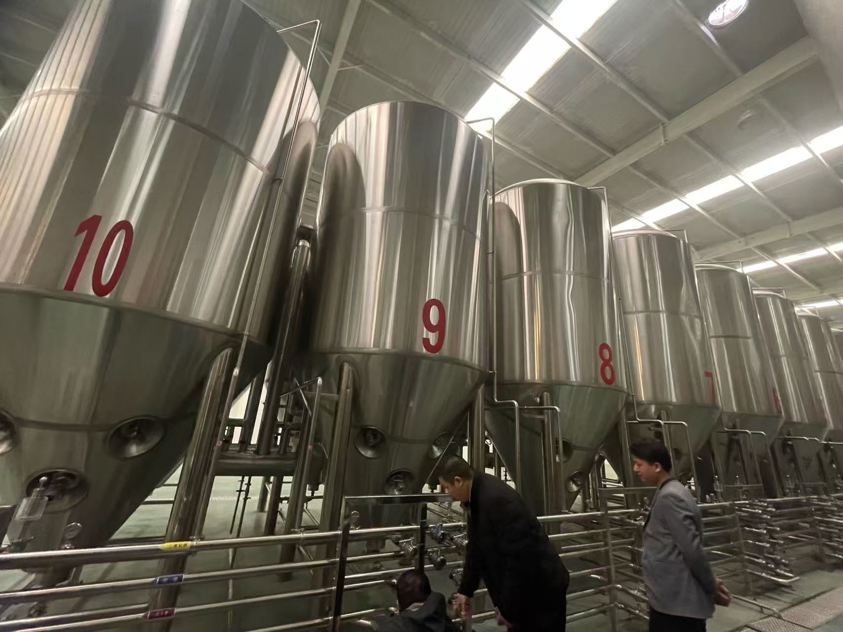 洞头精酿啤酒设备厂—平面布置、设备设计、制造、调试、培训等一条龙服务