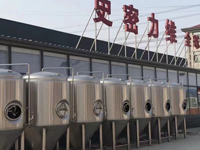 洞头精酿啤酒设备厂—市场规模与跨界新需求